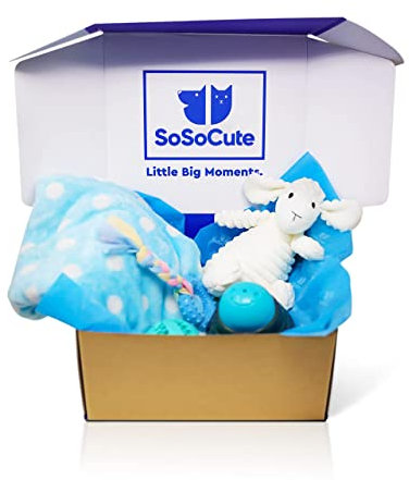 SoSoCute Blue Dog Gift Box - Puppy Chew Toy Set of 5 - Care Package with Dog Blanket Squeaky Plush Rubber Puppy Teether, Teething Ball and Treat Ball for Small Medium Dogs