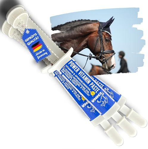 Pferde Vitamine Booster bei Mangel 3x30ml Vitamin B Komplex & Vitamin E Pferd I Vitamin B12 I B-Vitamine B1 B2 B6 B12 Lysin Eisen Calcium Zink Pferd hochdosiert gegen Müdigkeit für Energie Leistung