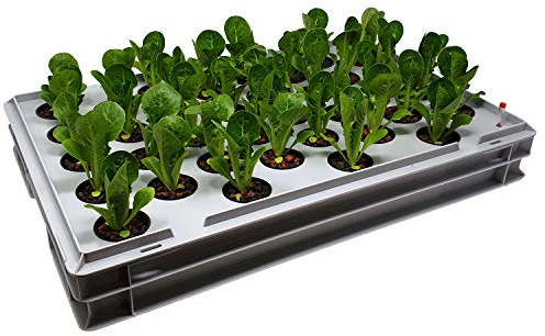 GREEN24 Aqua 36-A Pro Hydroponic Anzucht-System XL 40 x 60 cm Hydrokultur Indoor Pflanzen-Aufzucht für Nutzpflanzen, Gemüse, Kräuter, Salate, Zierpflanzen in Tiefwasserkultur