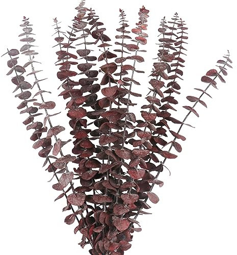 YiYa 12 Stück Echte Eukalyptus-Stängel, 43cm Natürliche Frische Eukalyptuszweige, Rote Eukalyptusstämme Getrocknet für Dusche, Vasenfüller, Heimdekoration, Hochzeitsarrangements -Rot