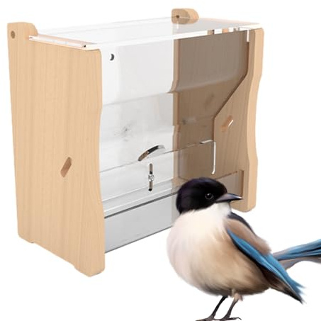 Distributore automatico di cibo per quaglie, senza rifiuti, per acqua e pollo, per uccelli, per una facile idratazione, pulizia pratica e igienica