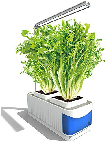 ZZX Giardinaggio Interni, Smart Hydroponics Coltivazione Indoor con Sistema Automatico di Illuminazione LED per piantare Fiore, Coltivare Erbe, Verdure,Us Plug