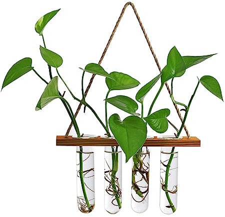 Pflanzenvermehrungsstation, Wandhängende Glaspflanzgefäße, Vermehrungsstation für Hydrokulturpflanzen, Terrarium, Hängepflanzen-Terrarium, Mini-Vase, Blumentöpfe für Hydrokulturpflanzen,(Braun)