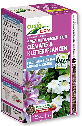 Clematis e piante rampicanti