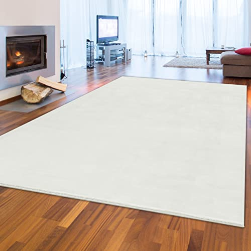 Teppich-Traum Alfombra Suave con Encanto para un Diseño Interior con Clase | Blanco Nieve, 120x170 cm