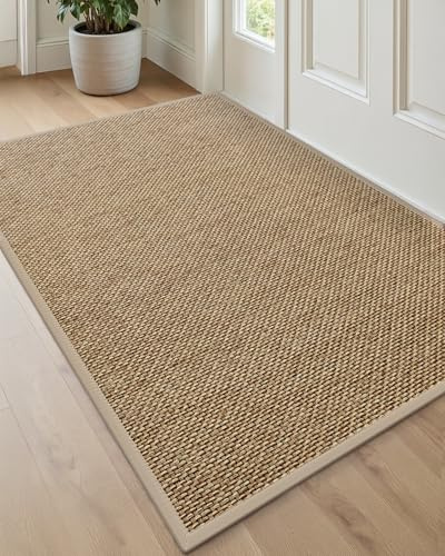 DEXI Ultra Thin Entryway Indoor Door Mat 32x48, Non Slip Rubber Backing Inside Entry Mat, Low Profile Easy Clean Dirt Trapper Doormat for Inside Entrance Patio, Beige