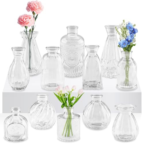 Zosenyer 12 Stück Kleine Vasen Set für Tischdekovasen, Mini Glasvasen für Tischdeko, Väschen Glasflaschen, Vintage-Blumenvasen für Hochzeit Tischdekoration, Geburtstag, Wohnzimmer, Büro