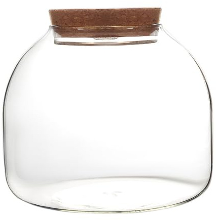 Terrarium en verre pour plantes, 1600 ml avec couvercle en liège, grande ouverture pour plantes grasses, paysage, pot de collection artisanale