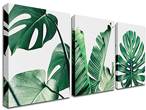 Green Plant Prints Wall Art - Botanical Poster Painting Monstera Succulent Shallow Leaf Pictures Wall Decor Modern Minimalist Tropical Leaves Decoration for Living Room Bedroom Kitchen 12x16in Framed