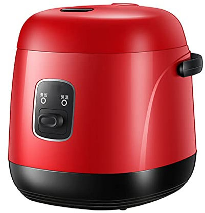 Cuiseur Riz, cuiseur Riz multicuiseur électrique pour 2 Personnes pour Cuisson du Riz, Viande, des Nouilles ou Soupe