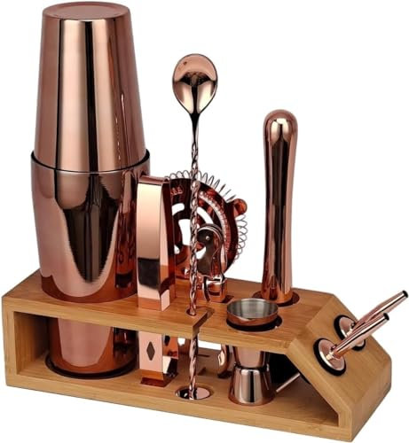 QTANZIQI Juego de coctelera Boston de 10 Piezas, Juego de coctelera de Acero Inoxidable con Herramientas de Barra de Soporte para Fiesta en casa, Bar