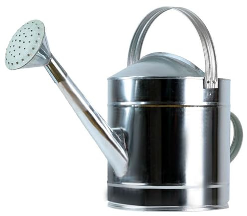 DVTFRUI Annaffiatoio in Metallo con Testa A Pioggia Rimovibile per Irrigazione Uniforme Design con Ampio Beccuccio E Doppia Impugnatura per Giardino Balcone Piante da Interno Ed Esterno,10L