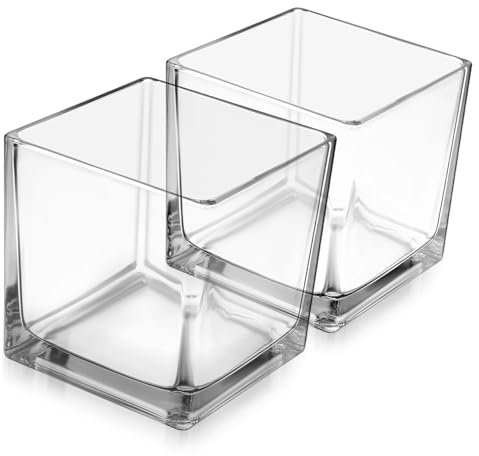 BESPORTBLE Lot De 2 Vases À Fleurs Carrés en Verre Haute Transparence Forme Carrée Idéal pour La Maison Ou Le Bureau Pièce Maîtresse Unique