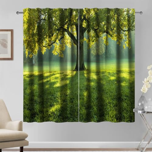 Kzzfqxb 132x214cm Rod Pocket Curtains 2 Panels, Summer Park Exuberant Green Leaves Tree Canopy Shadow Shade Picnic Lawn Landscape Window Drapes, Lush Scenery Decor for Bedroom Living Room