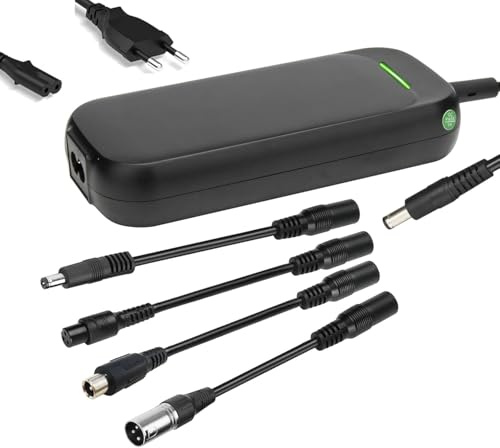 Xietongpo 29,4 V 2 A Caricabatterie per Batteria Litio, 24 V Veloce Caricabatterie Monopattino e Bicicletta con 4 connettori XLR DC5.5 RCA, Caricabatterie di ricambio per Hoverboard Swagtron