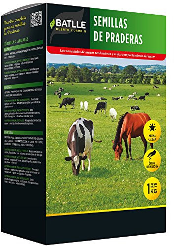 Semi di prato – Trebol Alessandria Bersim 1 kg – Batlle