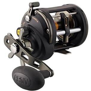 Penn Squall II Level Wind Conventional Fishing Reel, Black Gold, 20