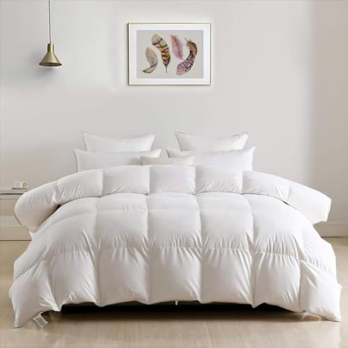 DWR Piumone Invernale Letto Singolo in Piuma d’Oca 380 gr/mq, Piumino Singolo Una Piazza 155 x 220 cm Caldo e Silenzioso, OEKO-TEX Standard, Bianco