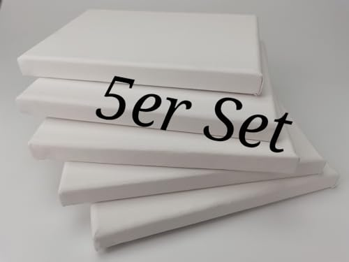 5 Stück Leinwand auf Keilrahmen aus Baumwolle 300 g/m² Set Maltuch zum Bemalen für Ölfarbe Acryl Aquarell (50x60 cm)