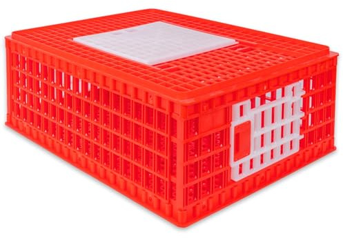 VOSS.farming Geflügel Transportkiste, 74x55x29cm, Transportbox, 2 Seitentüren, Schiebetür Oben, für Hühner, Enten, Wachteln, rot-weiß