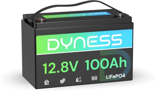Dyness Lithium Batterie 12V 100Ah LiFePO4 Akku mit 100A BMS, Niedertemperatur-Abschaltung, Max 15000 Zyklen, 1280Wh Lithium Deep Cycle Solarbatterie für Wohnwagen, Camping, Solar Home Systeme, Boote