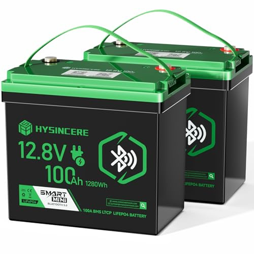 HYSINCERE 12V 100Ah LiFePO4 Batterie mit Bluetooth & 100A BMS (2 Pack) | Low Temperature Schutz, IP67 wasserdicht, bis zu 15000 Zyklen, Deep Cycle Batterie für Wohnmobil, Solar und Marine