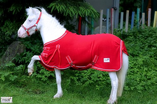 Abschwitzdecke ROT Knallrot Minishetty Mini Shetty 60 65 70 75 80 85 90 95 100 Tysons Breeches Minipony Lina (90)
