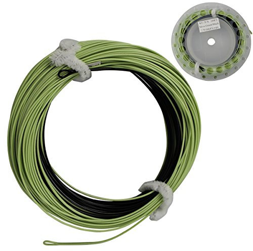 Fliegenschnur Sink Tip 100FT 3ips Gewicht Vorwärtsschwimmende Fliegenschnur Geliefert mit 2 geschweißten Vorfachschlaufen Sinkende Fliegenfischerschnur(WF-5F/S)