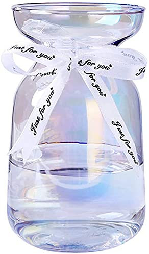 BERTY·PUYI Jarrones De Vidrio Transparente con Cuerda De Seda, Jarrones Modernos Bud Sweet Pea Jarrón para Orquídeas En La Mesa De Escritorio Decoración Interior del Alféizar De La Ventana-Colorful