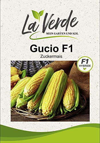 La Verde MEIN GARTEN UND ICH. Gucio F1 Zuckermais Samen für ca. 50 Pflanzen, Fruchtgemüse, supersweet, Saatgut ohne Gentechnik