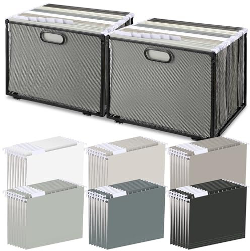 Tellingyou Hängeregistratur-Organizer mit Griffen und 48 Hängemappen, Metallnetz, schwarz, Ordner, Aufbewahrungsbox für Zuhause, Büro, Schule, 2 Stück (graue Farben)