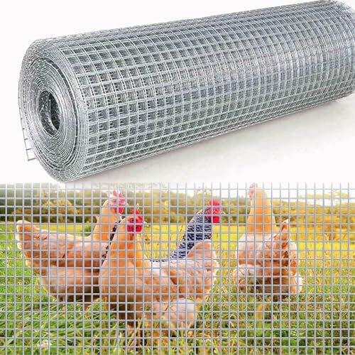 Mailles Carrées Grillage Soude, Treillis Métallique Galvanisé pour Volière pour Lapins, Cochons D'Inde ou Poulets Protection Grillage - Maillage 6MM/12MM ( Taille : 0.5mx20m , Couleur : Hole diameter