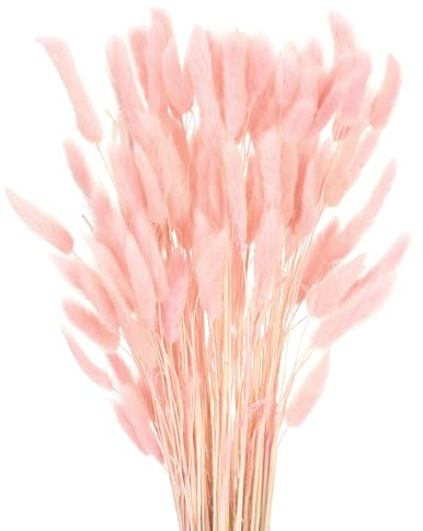 QUARKZMAN Hasenschwanzgras Getrocknet - Dunkelrosa, 120 Stück Getrocknete Blumen, 43cm Pampasgras Natürlicher für Florale Hochzeitsdekoration Weihnachten
