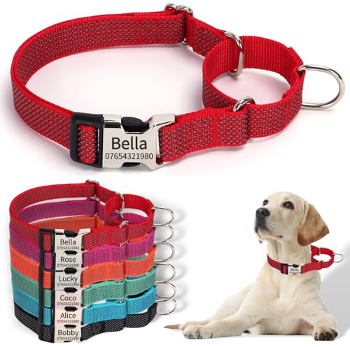 SEOUGEE Martingale Hundehalsband, personalisierbar, reflektierendes Nylon, ausbruchsicher, Anti-Ziehen, mit individuell gravierter Metallschnalle, Spaziergangstraining, täglicher Gebrauch für kleine