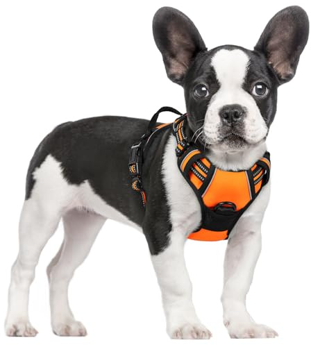 rabbitgoo Hundegeschirr Mittelgroße Hunde Anti Zug mit Griff, S, Orange | No Pull & Individuell Anpassbar, Atmungsaktiv Gepolstert, 2 D-Ringe, Schnellverschlüsse, Reflektierend für Gassi & Training