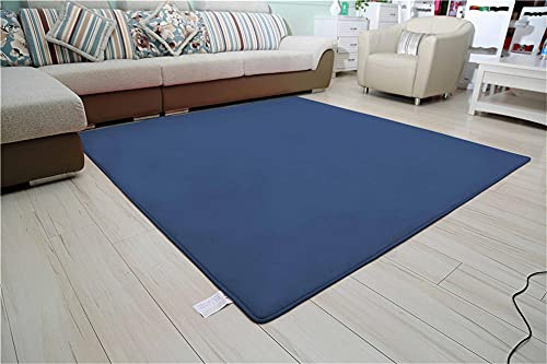 Alfombra de Terciopelo Coral Grueso de Color sólido Calidad Azul claro Suave Lavable Antideslizante Grande Rugs Rug Minimalista Moderna Sala De Estar Dormitorio Tatami Gateando Estera -120×140cm