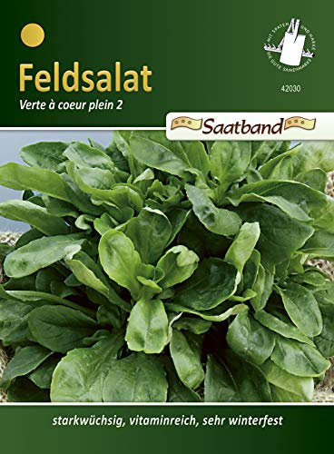 N.L. Chrestensen 42030 Feldsalat Dunkelgrüner Vollherziger Saatband (Feldsalatsamen)