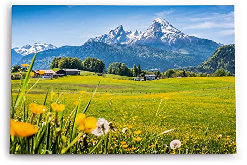 Paul Sinus Wandbild 120x80cm Alpen Österreich Schneegipfel Wiese Blumen Sonnenschein