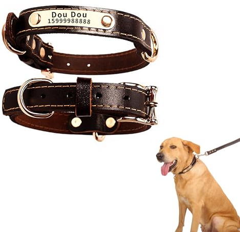 Hundehalsband, benutzerdefiniertes Haustierhalsband, individuelles graviertes Hundehalsband mit Name und Telefonnummer für Jungen- und Mädchenhunde oder Katzen, einstellbare Größe