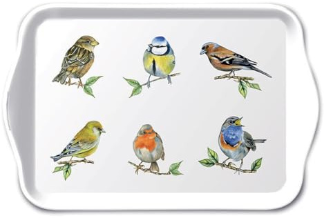 Ambiente Bird Species Tablett Dekotablett kleines Serviertablett Tray 13 x 21 cm Vögel der Heimat Melamine