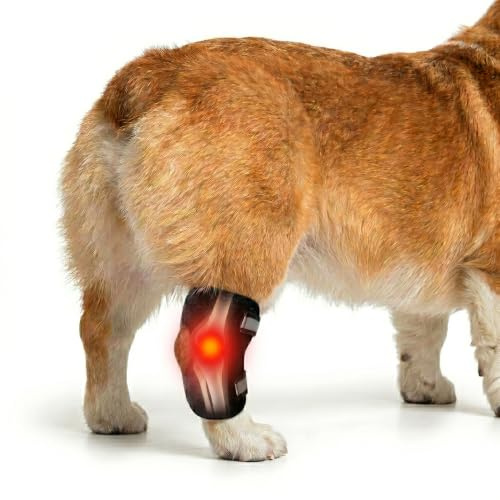 Hunde-Kniebandage für gerissenes ACL-Hinterbein und Luxating Patella, Unterstützung des hinteren Sprunggelenks, Gelenkverletzungs- und Verstauchungsschutz, abnehmbares Design, kommt mit 2 Federstegen