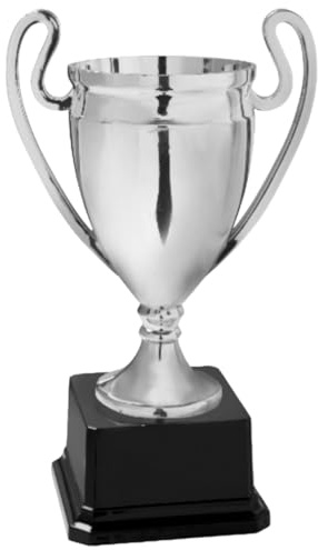 Hole Gadget Coppa Trofeo Personalizzabile 25, 22, 20 cm Singolo o Tris per Tutti Gli Sport, Calcio, Calcettto, Tennis, Basket, Padel, Fantacalcio, Concorsi, Premiazioni cod 12.991