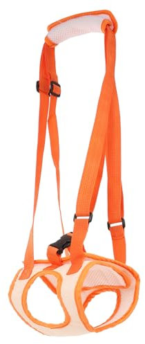 Beavorty Verstellbares Hundetraining Geschirr Mit Hilfsband Für Ältere Und Behinderte Hunde Unterstützungsgeschirr Für Laufen Erleichtert Und Hüftschmerzen Für Outdoor-aktivitäten