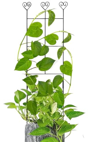 Rankgitter für den Garten – Rankhilfe aus Metall für Kletterpflanzen | Zierpfähle Gartenzubehör | Einfache Konstruktion: Pflanzenstütze für Reben Pothos Efeu Zimmerpflanze