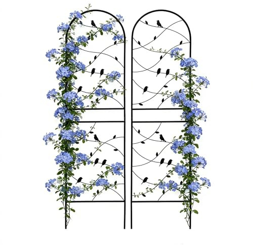 Rankgitter H180cm 2er Set, Klettergitter aus Metall für Kletterpflanzen, Sichtschutzgitter Schwarz für Balkon & Terrasse, Wandspalier mit elegantem Design (50 * 180cm 2er Set)