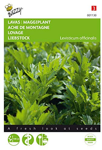 Buzzy Seeds 001130 Liebstock (Liebstöckelsamen)