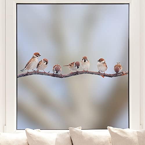 Pixblick Fenstersticker - Spatzen auf einem Ast im Winter I Fensterbild I Made in Germany I Wiederverwendbar