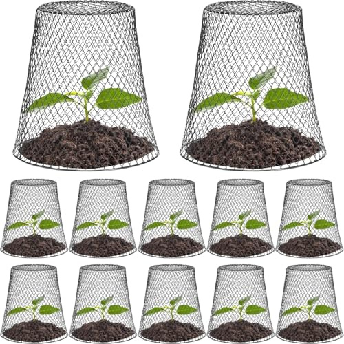 10 Pcs Chicken Wire Cloche Plant Protector Cover Metal Garden Cloche Dome for Plants Chicken Wire Protection Basket for Keeping Bunnies Chicken Squirrels Birds Other Out (Black)