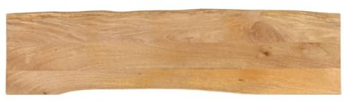 vidaXL Piano Tavolo 160x40x2,5 cm Bordi Vivi in Legno Massello Mango