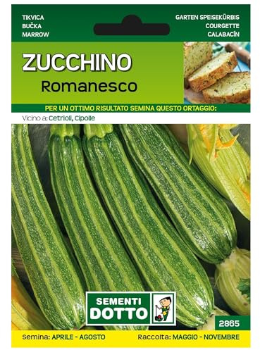 Sicignano | Semi Zucchino Romanesco - Pianta a Cespo Ramificato, Frutti Lunghi e Costati, Busta Extra - 2 Confezioni da 4.2g, Raccolta Estate-Autunno